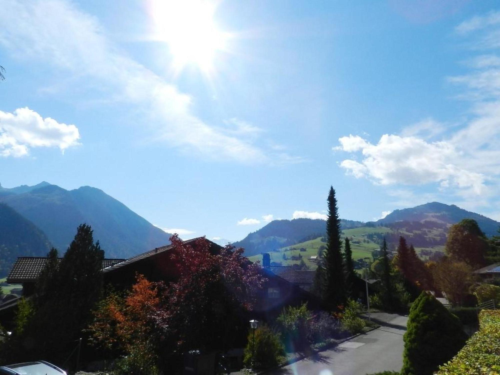 Apartment Fink By Interhome Zweisimmen Luaran gambar
