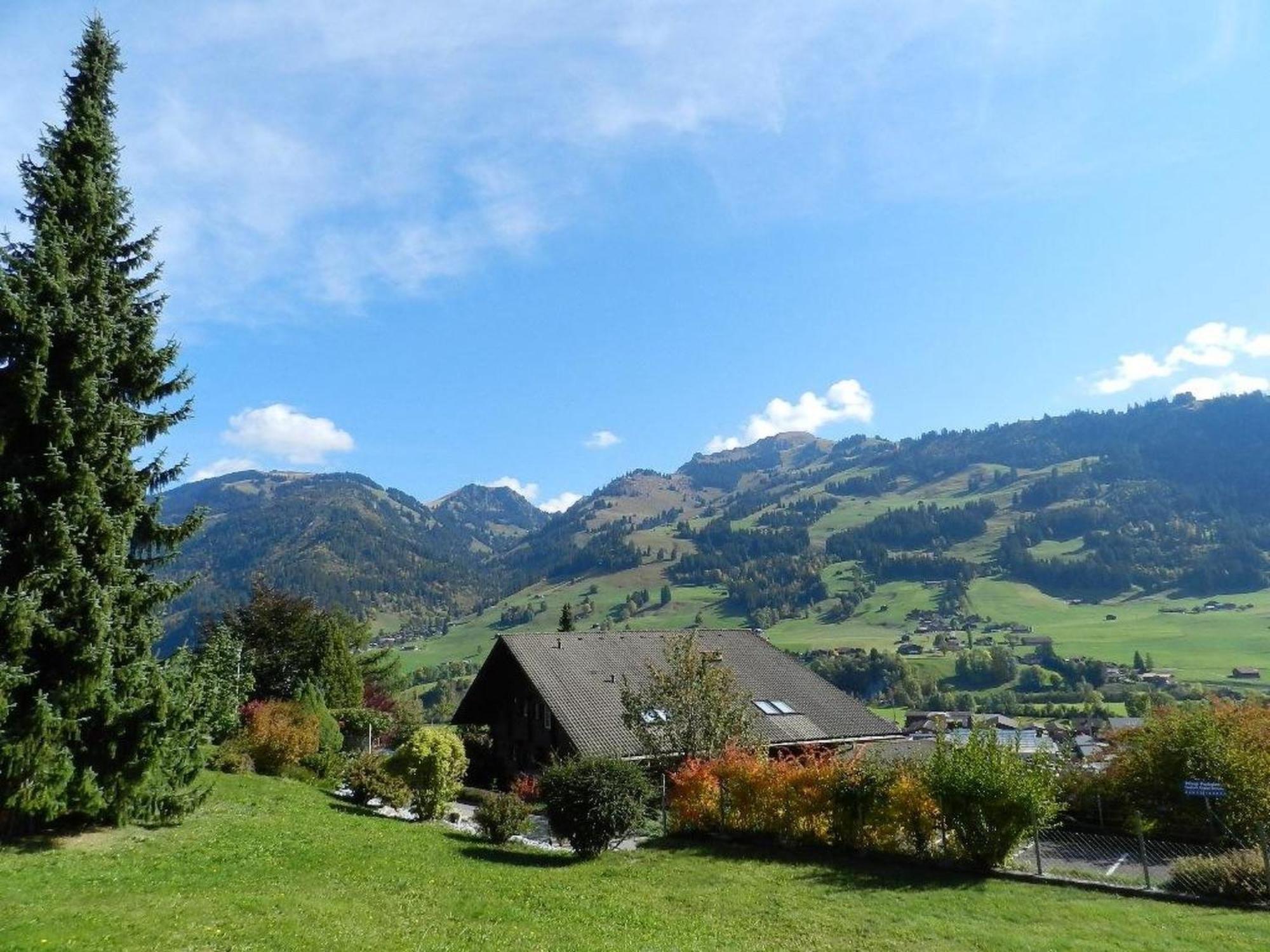 Apartment Fink By Interhome Zweisimmen Luaran gambar